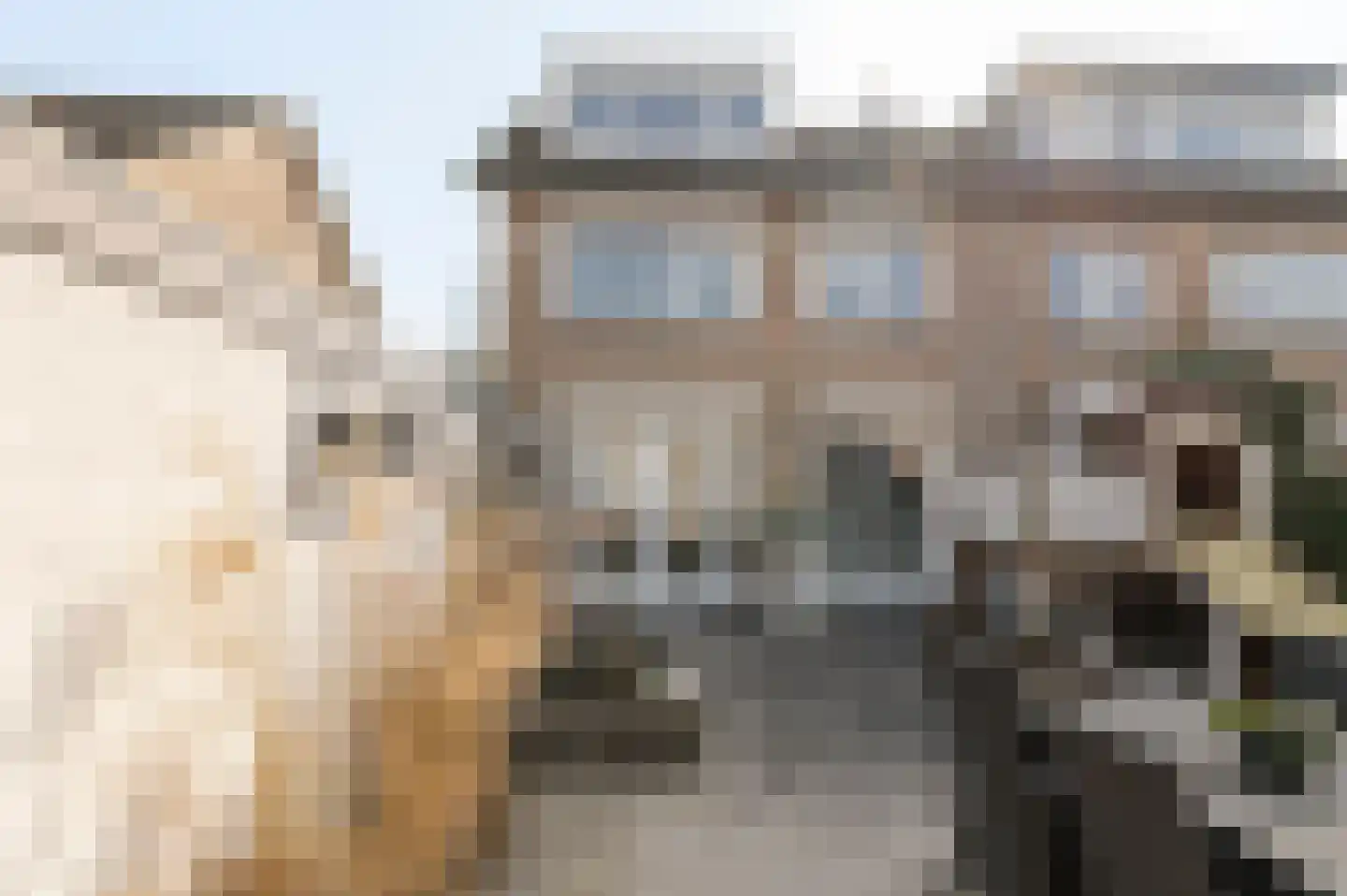 van Limburg Stirumstraat 46 Culemborg thumbnail 4