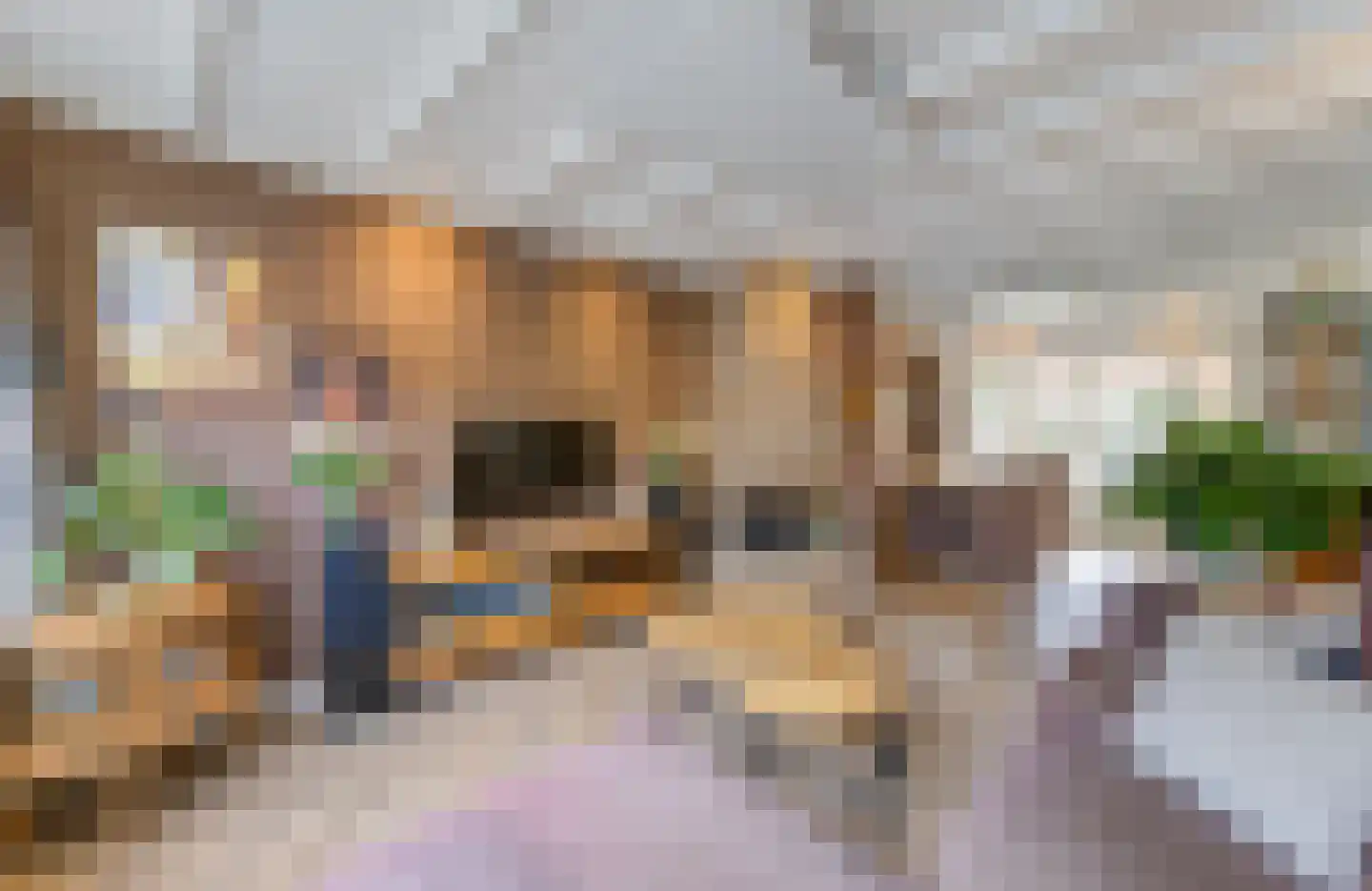 Van Limburg Stirumstraat 5 Hilversum thumbnail 13