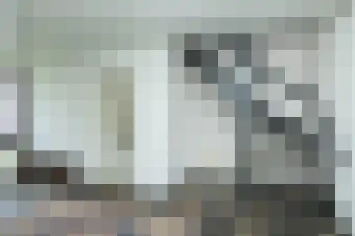 van Limburg Stirumstraat 6 Hoogeveen thumbnail 31