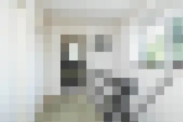 van Limburg Stirumstraat 6 Hoogeveen thumbnail 37
