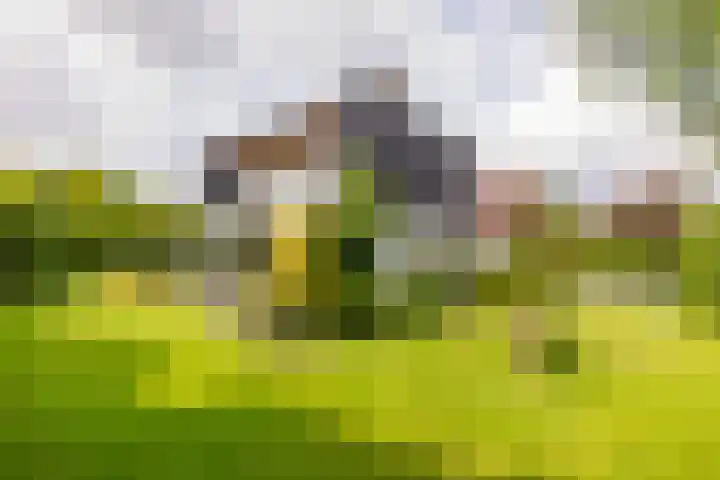 van Limburg Stirumstraat 6 Hoogeveen thumbnail 51