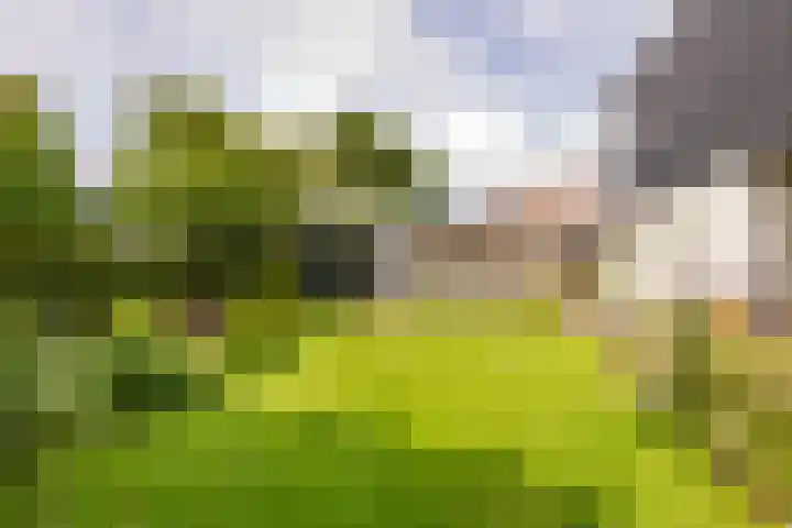 van Limburg Stirumstraat 6 Hoogeveen thumbnail 53
