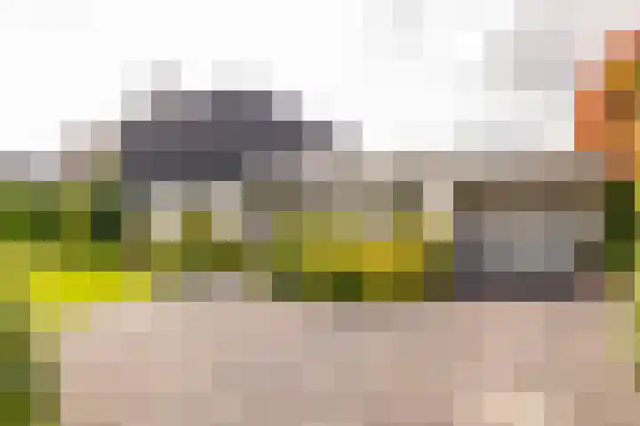 van Limburg Stirumstraat 6 Hoogeveen thumbnail 6