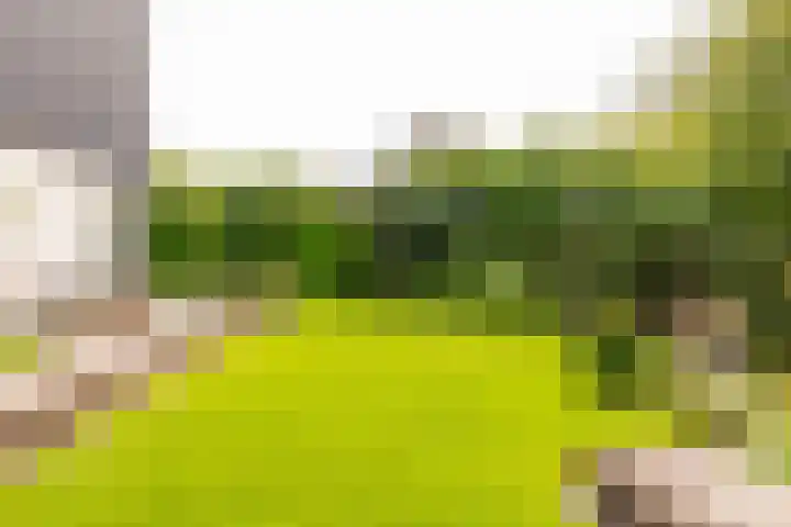 van Limburg Stirumstraat 6 Hoogeveen thumbnail 62