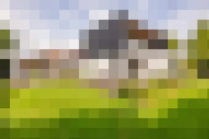 van Limburg Stirumstraat 6 Hoogeveen thumbnail 64