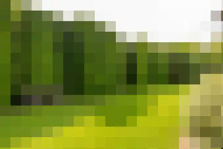van Limburg Stirumstraat 6 Hoogeveen thumbnail 67