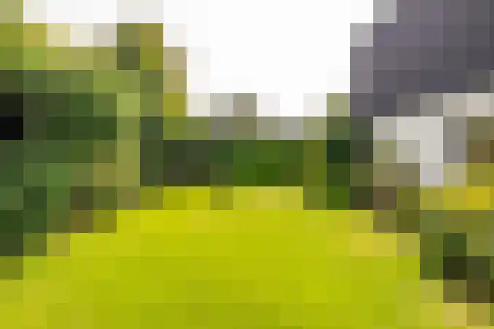 van Limburg Stirumstraat 6 Hoogeveen thumbnail 69