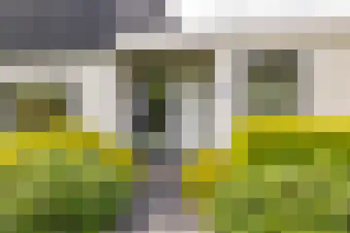 van Limburg Stirumstraat 6 Hoogeveen thumbnail 7
