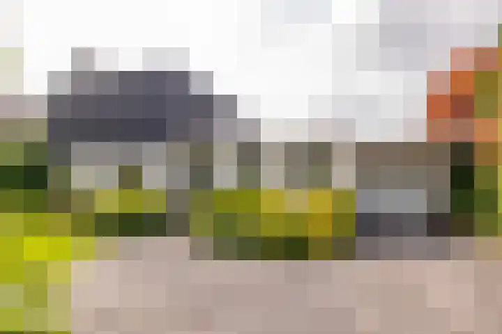 van Limburg Stirumstraat 6 Hoogeveen thumbnail 72