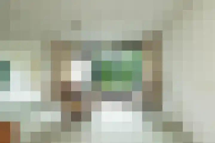 van Limburg Stirumstraat 6 Hoogeveen thumbnail 9