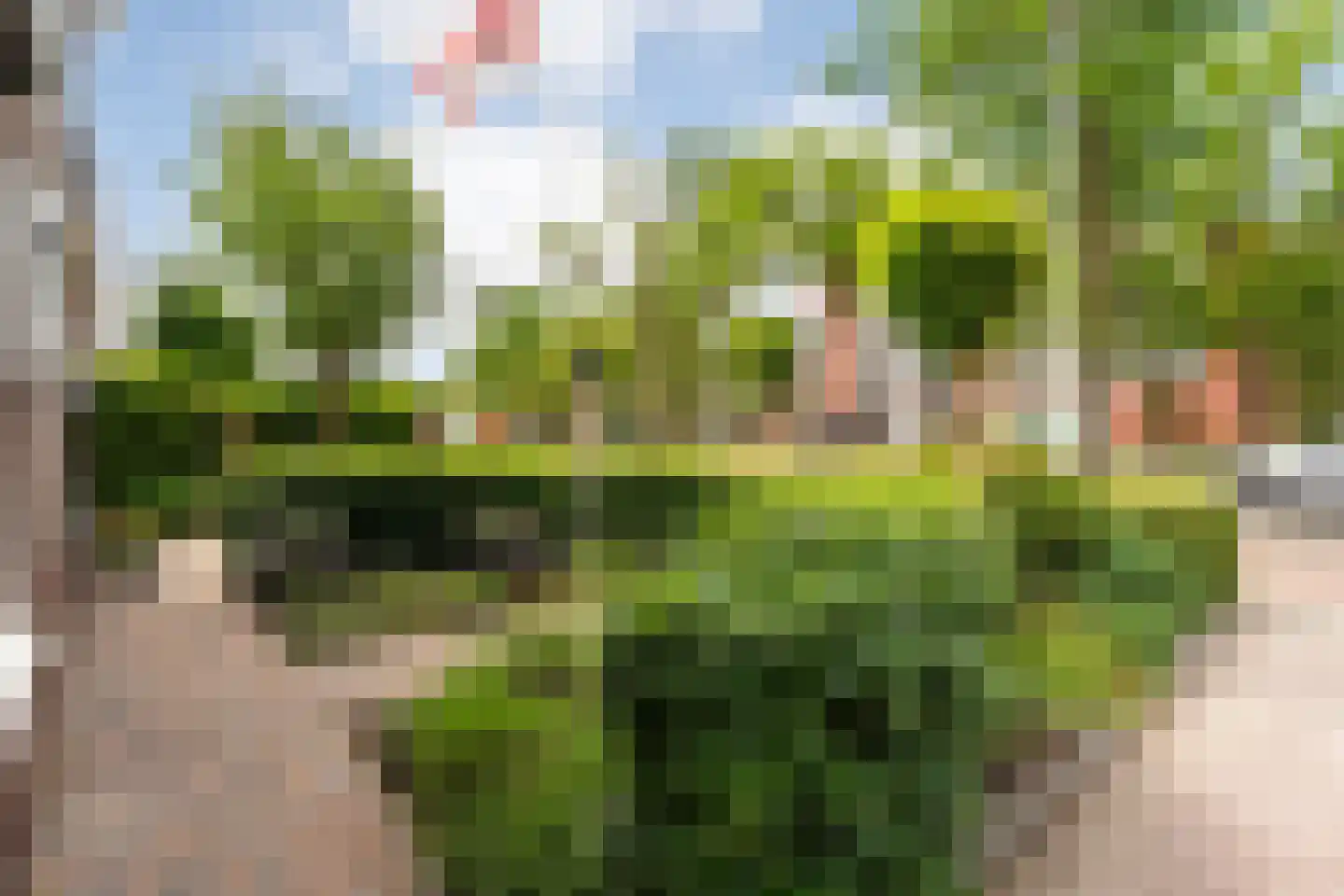 van Limburg Stirumstraat 83 Hoogeveen thumbnail 58