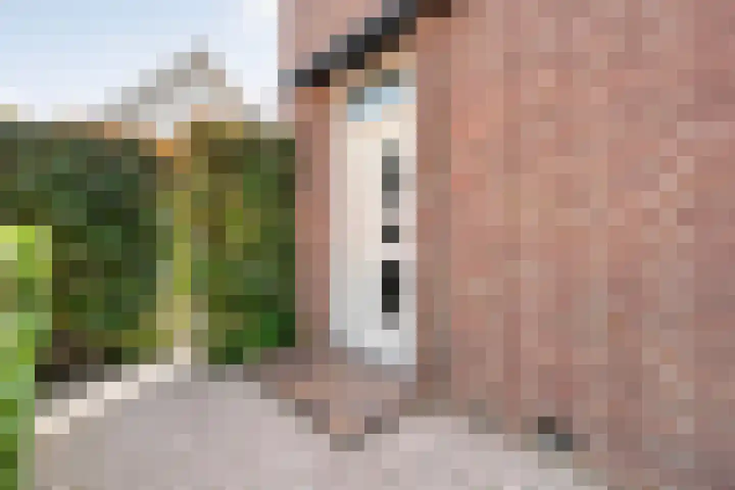 van Limburg Stirumstraat 83 Hoogeveen thumbnail 6