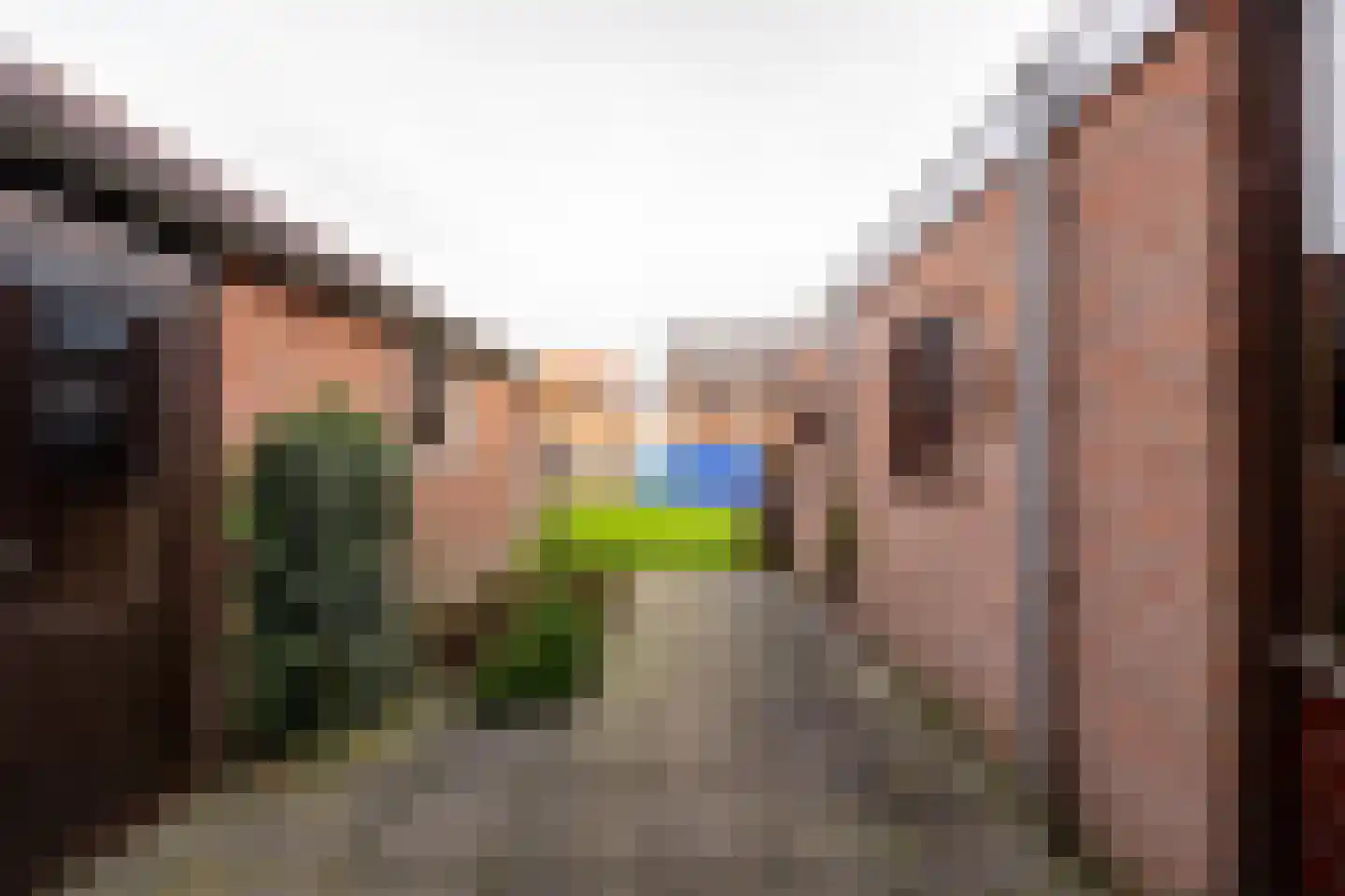 van Limburg Stirumstraat 91 Hoogeveen thumbnail 41