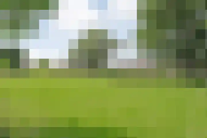 Van Limburg Stirumware 43 Zwolle thumbnail 30