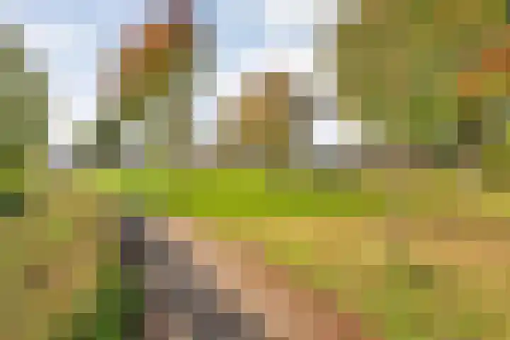 Van Limburg Stirumware 72 Zwolle thumbnail 24