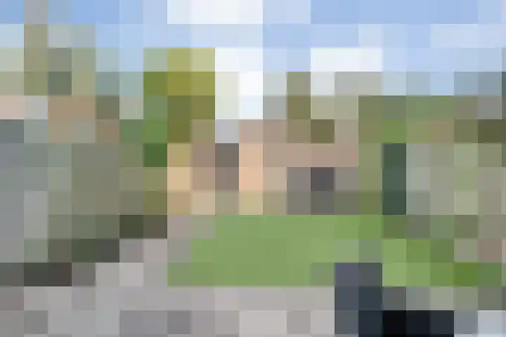 Van Limburg Stirumware 72 Zwolle thumbnail 27