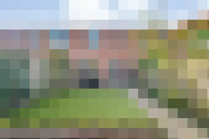 Van Limburg Stirumware 72 Zwolle thumbnail 29