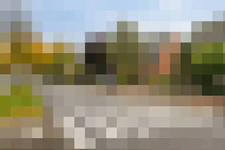 van Linden van den Heuvellsingel 17 Vlaardingen thumbnail 10