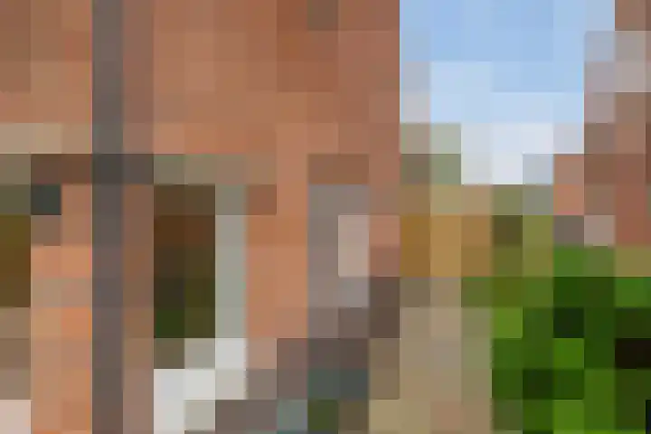 van Linden van den Heuvellsingel 17 Vlaardingen thumbnail 14