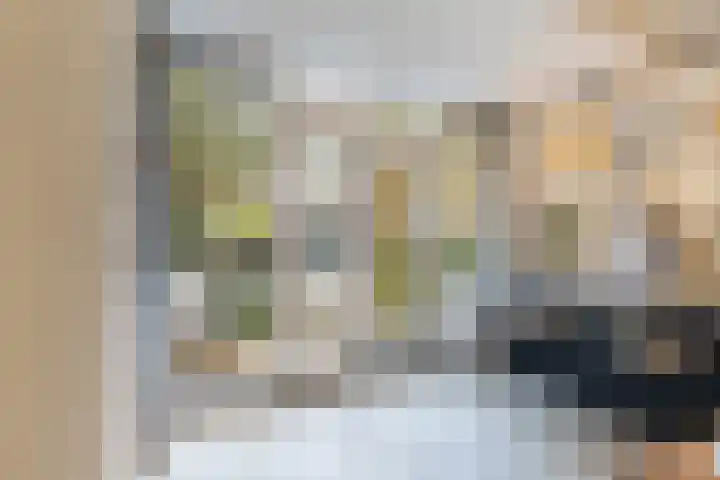 van Linden van den Heuvellsingel 17 Vlaardingen thumbnail 27