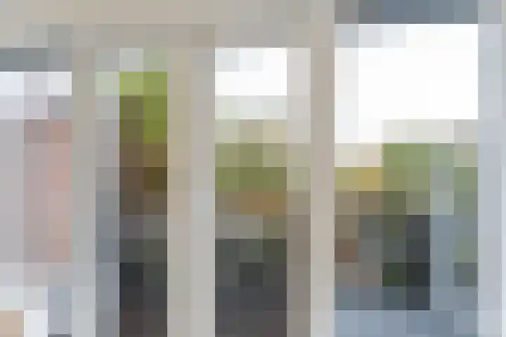 van Linden van den Heuvellsingel 17 Vlaardingen thumbnail 50