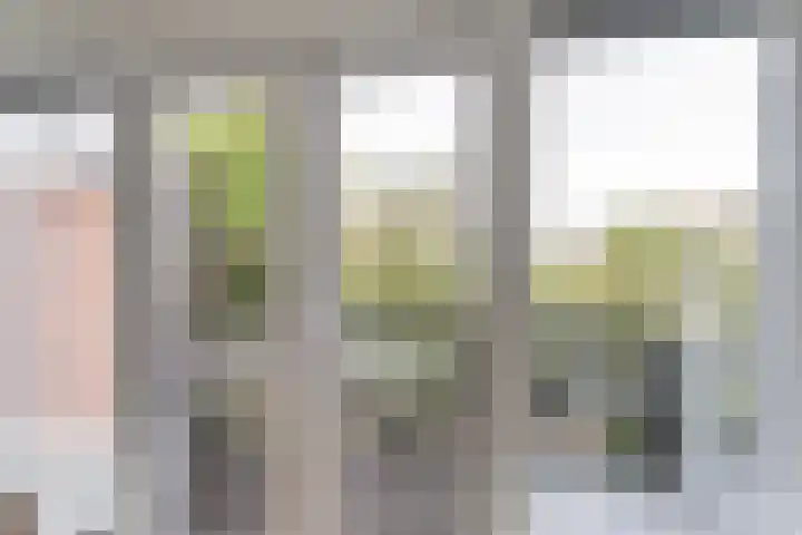 van Linden van den Heuvellsingel 17 Vlaardingen thumbnail 51