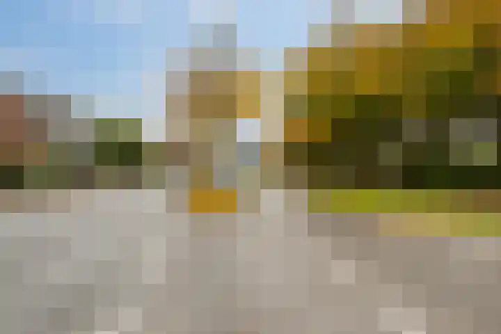 van Linden van den Heuvellsingel 17 Vlaardingen thumbnail 9