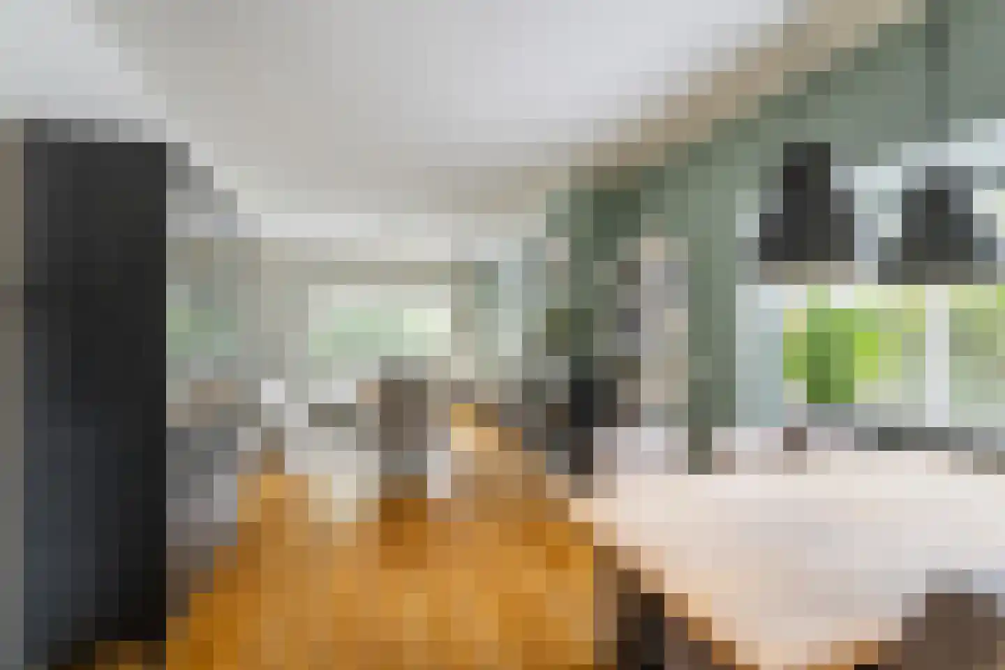 van Linden van den Heuvellsingel 21 Vlaardingen thumbnail 17