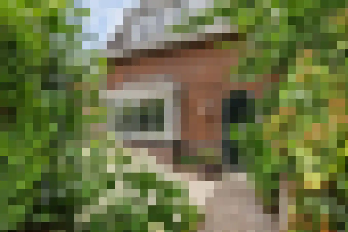van Linden van den Heuvellsingel 21 Vlaardingen thumbnail 7