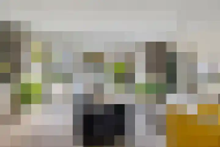Van Lingelaan 104 Maarssen thumbnail 13