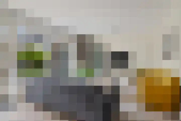 Van Lingelaan 104 Maarssen thumbnail 14