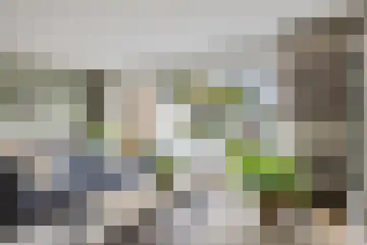 Van Lingelaan 104 Maarssen thumbnail 16