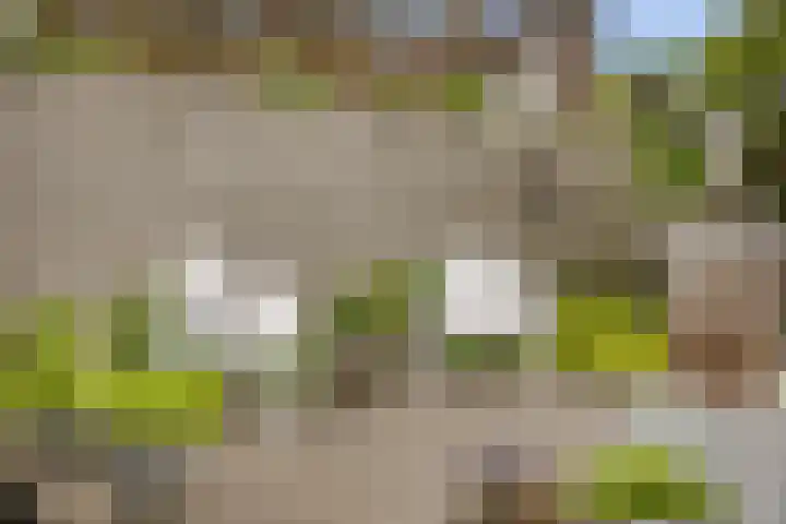 Van Lingelaan 104 Maarssen thumbnail 33
