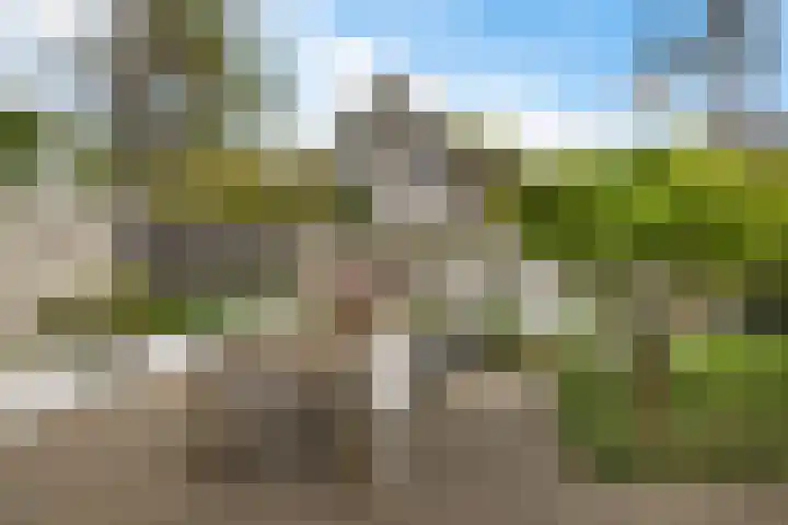 Van Lingelaan 104 Maarssen thumbnail 34