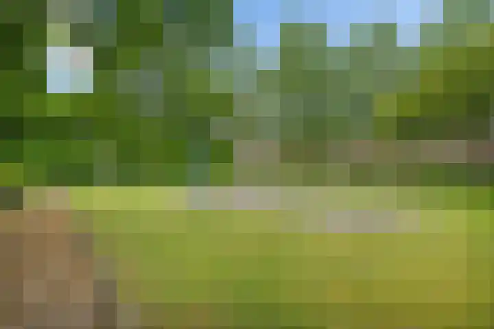 Van Lingelaan 104 Maarssen thumbnail 37
