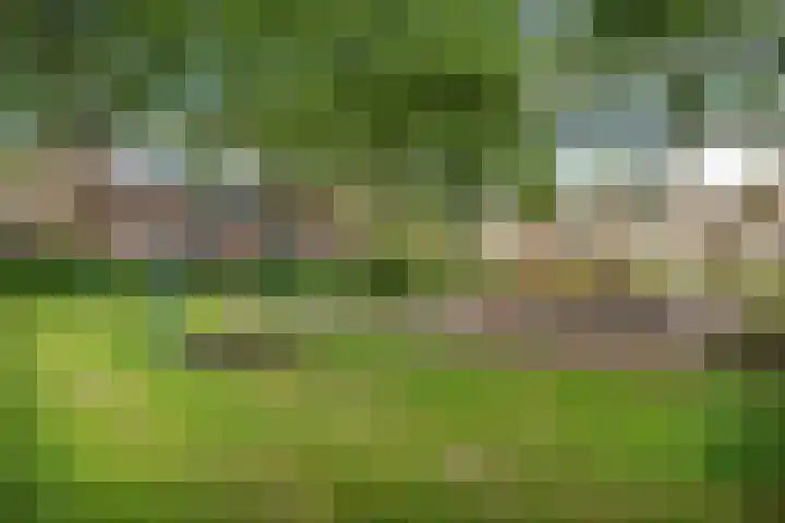 Van Lingelaan 104 Maarssen thumbnail 38