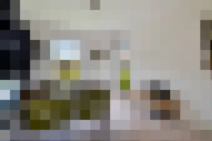 Van Lingelaan 104 Maarssen thumbnail 6