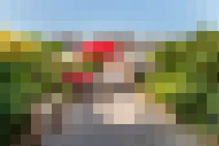 Van Lingelaan 118 Maarssen thumbnail 14