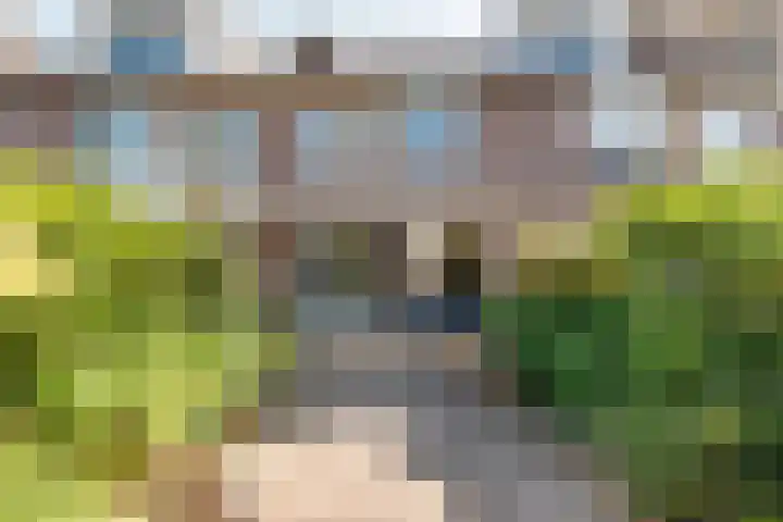 Van Lingelaan 118 Maarssen thumbnail 16