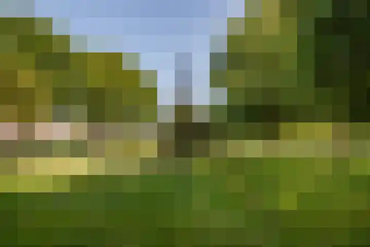 Van Lingelaan 118 Maarssen thumbnail 17