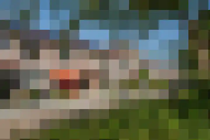 Van Lingelaan 118 Maarssen thumbnail 6