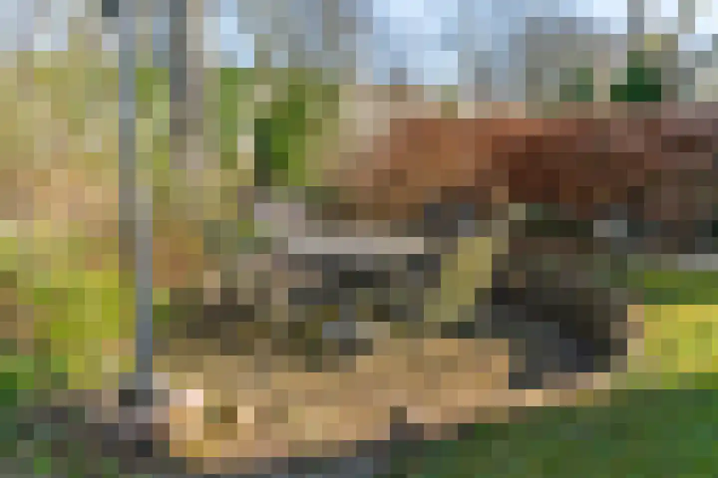 Van Lingelaan 83 Maarssen thumbnail 17