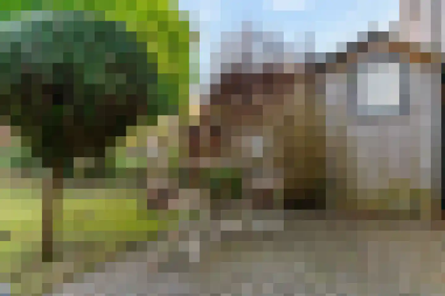 Van Lingelaan 83 Maarssen thumbnail 19