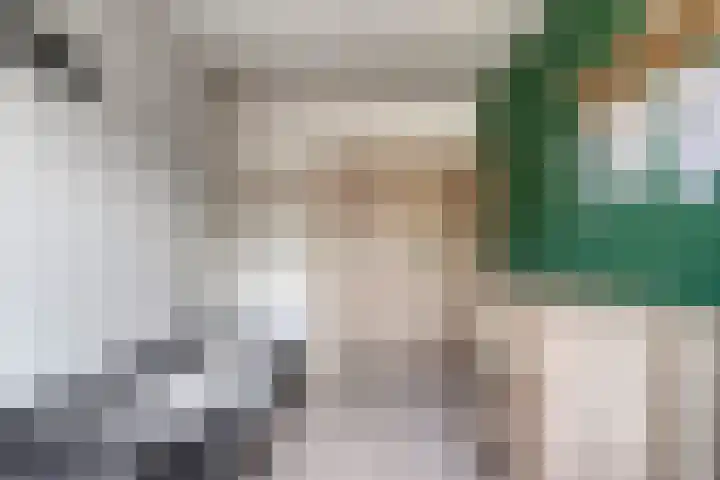 Van Lingelaan 97 Maarssen thumbnail 18
