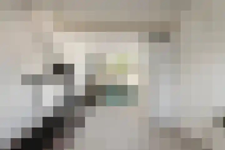 Van Lingelaan 97 Maarssen thumbnail 22