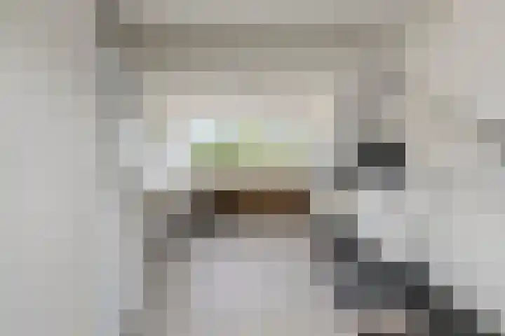 Van Lingelaan 97 Maarssen thumbnail 23