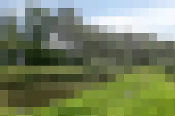 Van Lingelaan 97 Maarssen thumbnail 28
