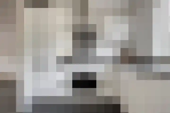 Van Lingelaan 97 Maarssen thumbnail 8