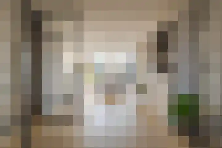 van Lingenshoeve 12 Hattem thumbnail 11