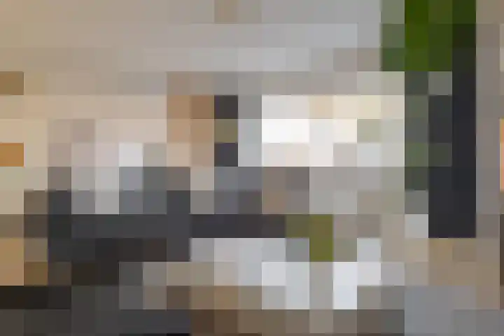 van Lingenshoeve 12 Hattem thumbnail 15